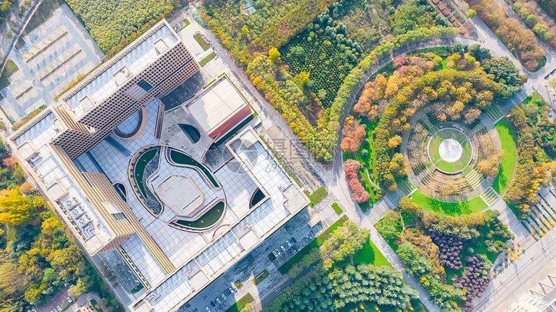 继电保护继电器：常见故障诊断与处理策略**