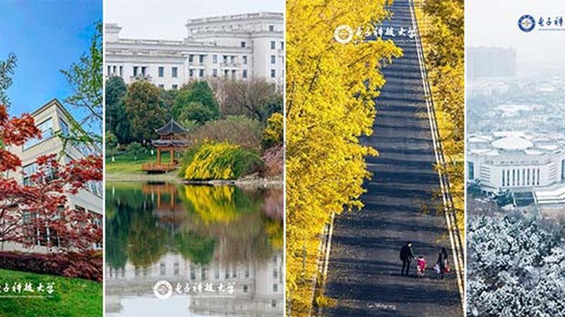 电子科技公司经营范围注意事项：合规与发展的平衡之道