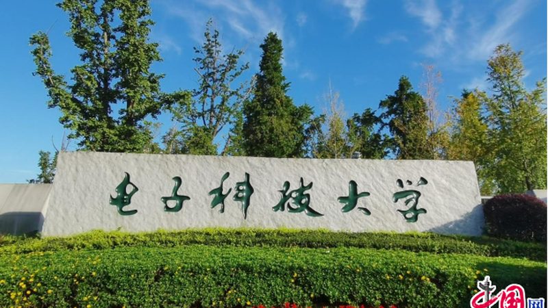 电子模块选购：如何规避误区，找到优质厂家**